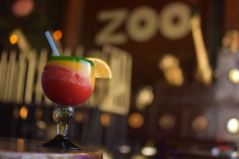 zoo-bar-snack